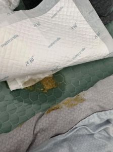 狗狗床上拉屎怎么办？（小狗狗在床上乱拉粑粑）