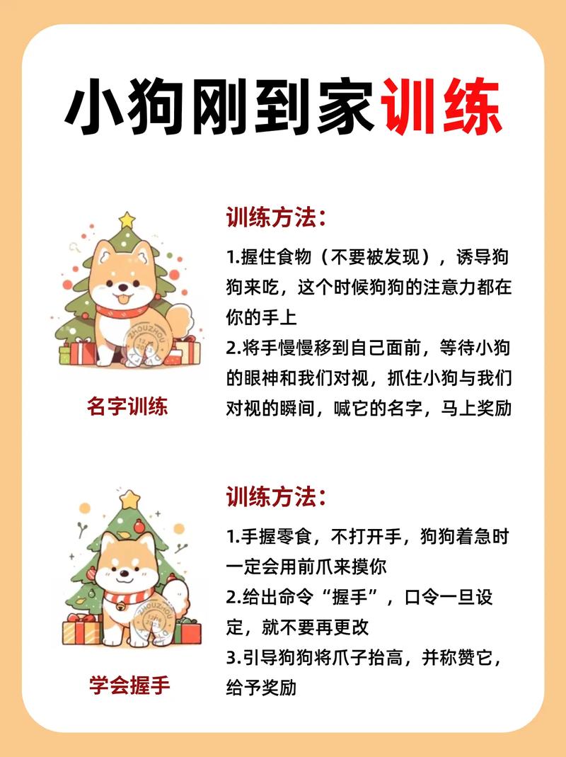 狗狗训练靠奖励不靠打,简单指令耐心教(训练狗狗的方法大全) 狗狗训练靠奖励不靠打,简单指令耐心教(训练狗狗的方法大全)