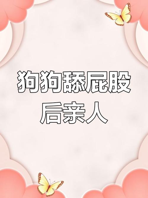 狗狗屁股对着你?它在撒娇呢!(小狗爬过来舔妈妈的屁股) 狗狗屁股对着你?它在撒娇呢!(小狗爬过来舔妈妈的屁股)