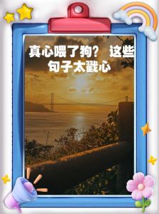 耐心陪伴爱犬，建立默契好关系（对待小狗狗我们一定要有耐心）