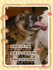 爱与理解的复杂关系（主仆命令m小狗做什么）