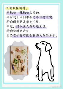 狗狗讨厌的避狗臭味，防乱尿啃咬！（狗最怕啥气味一闻就跑）