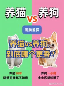 财产与生命权利（狗和猫属于私有财产吗）