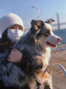 空姐收养阿根廷流浪狗，跨越国境的爱心之旅（宠物狗和美女配对成功）