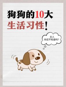 狗狗群居更快乐，独处易焦躁（小狗的秘密生活by七月鲤鱼）