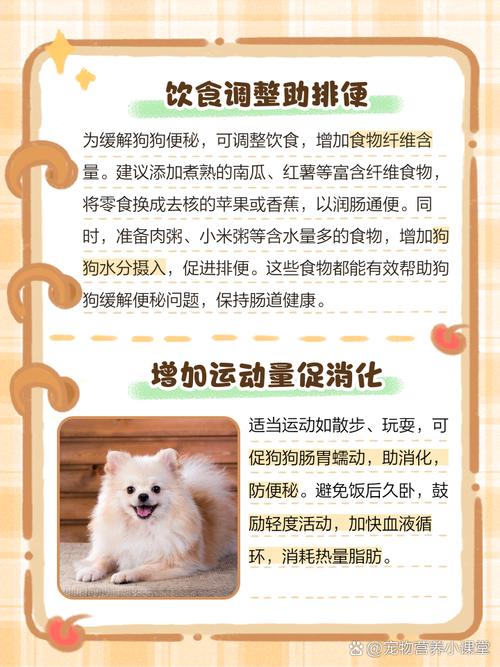 狗狗便秘怎么办?饮食运动来调理(狗狗拉不出粑粑怎么办) 狗狗便秘怎么办?饮食运动来调理(狗狗拉不出粑粑怎么办)