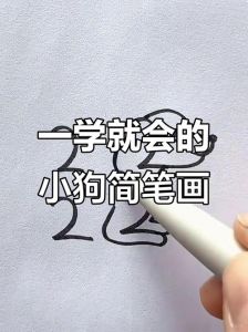 安全信任是基础，正确引导养乖狗（怎么教小狗）