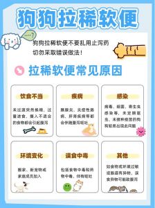 狗狗排便后用后腿蹭草清洁屁屁，主人需帮忙擦拭（狗狗拉完粑粑要擦屁屁吗）