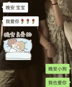 偶遇小公主比熊，精致背后需细心呵护（狗狗+蝴蝶结+群+聊天记录）