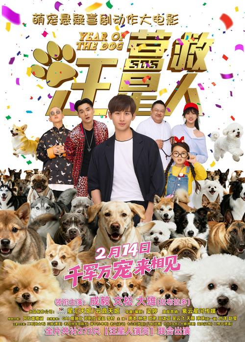 驯狗师免费驯狗却曝光狗主人隐私引发争议(把你的宠物狗训练成明星) 驯狗师免费驯狗却曝光狗主人隐私引发争议(把你的宠物狗训练成明星)