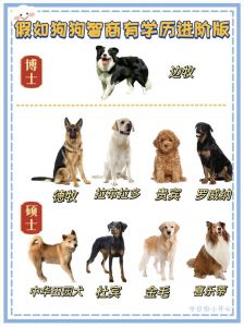 法国斗牛犬居首！（宠物狗排行榜前十名）