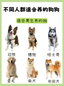选对狗狗品种，性格外貌大不同（宠物狗有哪种品种）