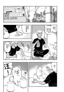 爱宠分享与高效办公，平衡生活新方式（小狗看番）