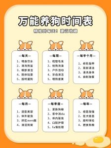 健康活泼小妙招（小狗任务清单100图）