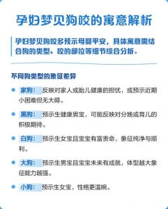 孕妇梦狗预示守护期待，注意情绪和行动（孕妇梦到很多狗狗）