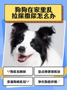 小狗憋尿哭唧唧？快查原因！（四爱小狗哭唧唧憋尿的原因分析）