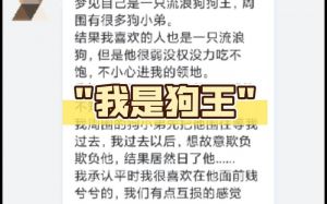 人际财运新变化，警惕风险迎机遇（梦见自己拾到一只狗）