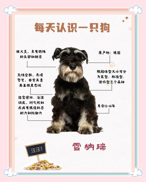 财产还是家庭成员?(宠物狗算私人财产吗) 财产还是家庭成员?(宠物狗算私人财产吗)