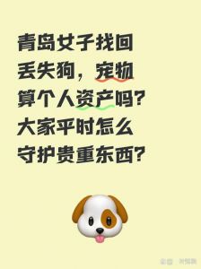 财产权与照料的平衡（狗狗属于你自己的个人财产吗）