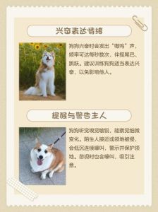 狗狗嚎叫原因与应对（小狗像狼一样嚎叫怎么回事）