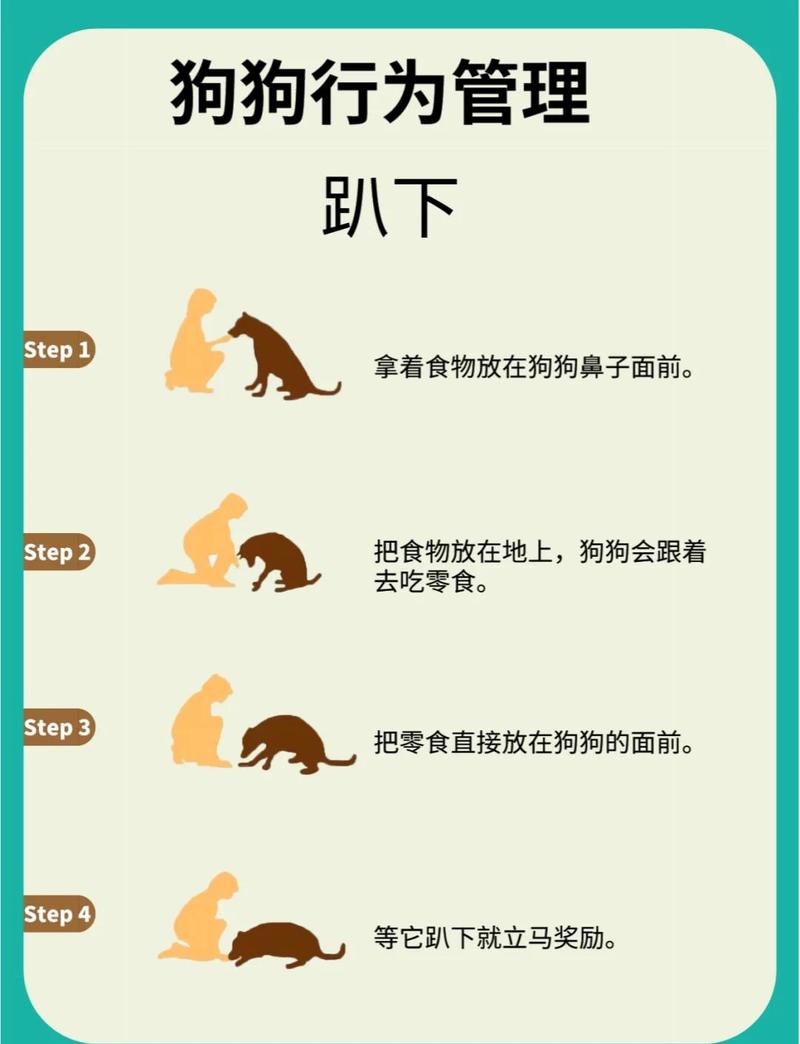 保暖窝梳毛玩具等(狗用什么来干什么) 保暖窝梳毛玩具等(狗用什么来干什么)