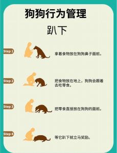 保暖窝梳毛玩具等（狗用什么来干什么）