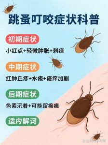 狗咬伤要快处理，别让娃遭殃（狗蹦子咬了图片）
