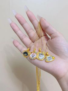 选对尺寸戴项圈，温柔耐心帮狗狗适应（主人来教小狗项链怎么用）