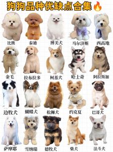 超粘人爱被摸，治愈全家！（什么品种的狗最温顺）