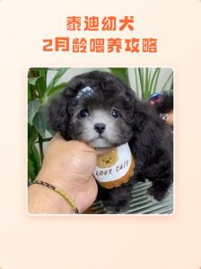奶粉喂食，观察吃饱，正常排便，保持清洁（刚满月的小狗怎么养）
