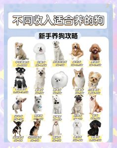 过敏慎选！10种掉毛少狗狗推荐（十大最干净最好养的狗犬排名）