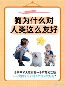 小狗见人叫，表达情绪和需求（小狗为啥见人就叫）