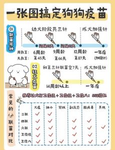科学矫正犬行为，建立主从关系（小圈主人怎么打小狗呢）