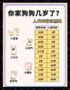 狗年换算成人龄并非固定值（狗四年相当于人几岁）