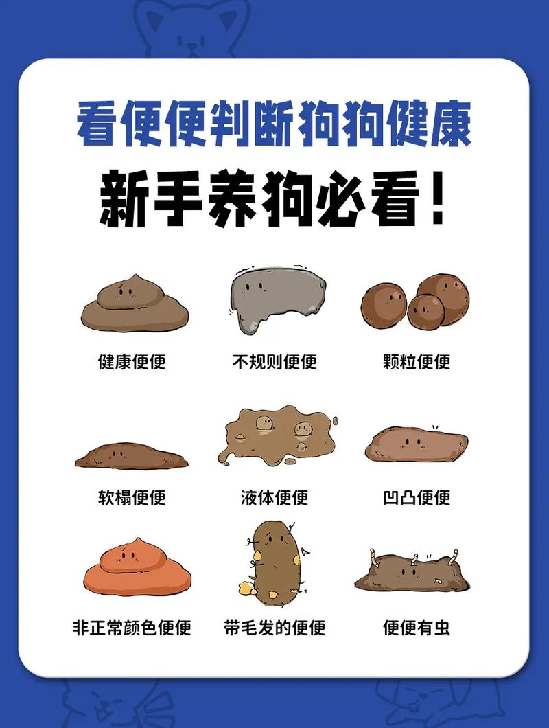 狗狗拉稀频繁?吃错或生病了,快查查!(狗狗爱拉粑粑咋回事) 狗狗拉稀频繁?吃错或生病了,快查查!(狗狗爱拉粑粑咋回事)