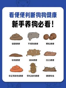 狗狗拉稀频繁？吃错或生病了，快查查！（狗狗爱拉粑粑咋回事）