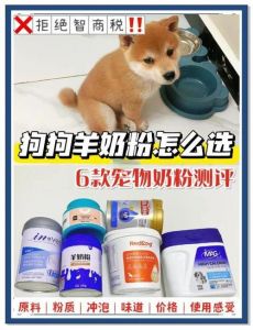 幼犬专用奶粉，科学喂养助成长！（为什么要为狗狗挑选好的奶粉）