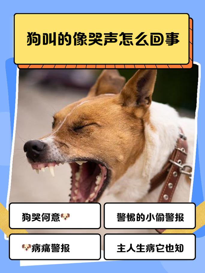 狗头萝莉卖煎饼引争议,呼啦圈视频再掀讨论(狗子呼啦圈是什么梗) 狗头萝莉卖煎饼引争议,呼啦圈视频再掀讨论(狗子呼啦圈是什么梗)