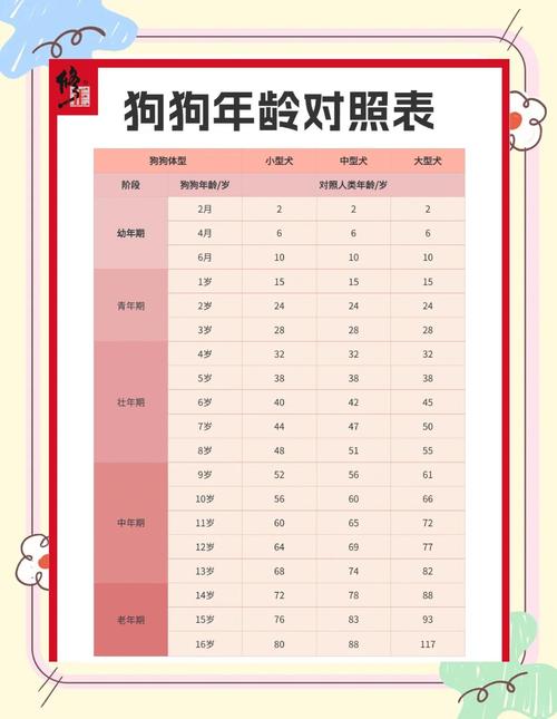 狗狗1岁≠人类7岁?科学告诉你它相当于31岁!(狗子1岁相当于人的几岁) 狗狗1岁≠人类7岁?科学告诉你它相当于31岁!(狗子1岁相当于人的几岁)