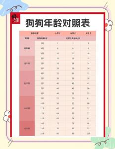 狗狗1岁≠人类7岁？科学告诉你它相当于31岁！（狗子1岁相当于人的几岁）
