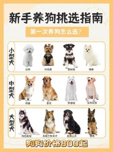 眼耳鼻足毛，选健康宝贝！（选狗怎么选好狗）