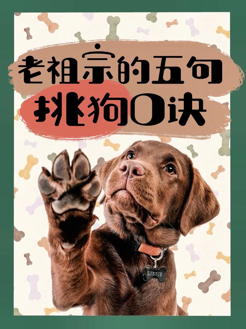 人犬协作保安全(捉蛇的狗如何挑选) 人犬协作保安全(捉蛇的狗如何挑选)