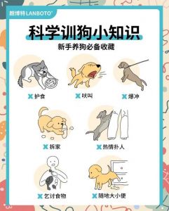 科学训练小狗定点排泄，奖励引导效果好（训戒文挑选小狗排泄控制）