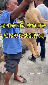 东北地狗子是啥？蚯蚓的别称！（地狗子方言）