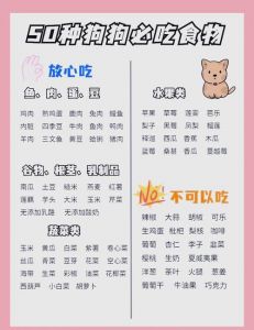 蛋白质钙质叶酸，这样喂最科学！（怀孕的狗狗要吃什么）