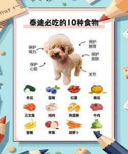 天生捕鼠高手，忠诚守护超暖心（如何选小狗不吃老鼠）