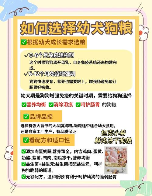 母乳奶粉辅食全攻略(1个月小狗狗粮怎么选) 母乳奶粉辅食全攻略(1个月小狗狗粮怎么选)