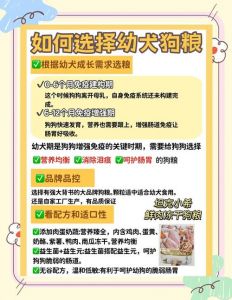 母乳奶粉辅食全攻略（1个月小狗狗粮怎么选）