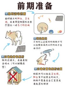 狗狗为啥爱定点上厕所？原因超多！（狗是怎么选择排便地点的）
