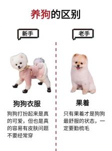 公安机关查处违规养犬伤人 农业农村部门负责防疫 物业协调巡查（养狗是哪个部门管）